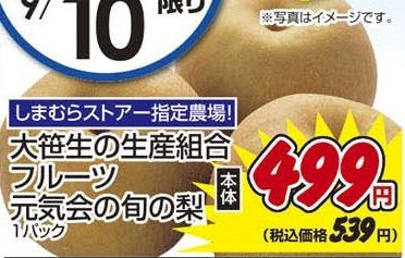 大笹生の生産組合フルーツ元気会 ●旬の梨 １パック