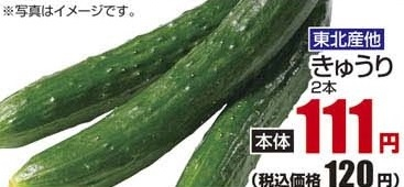 東北産他 ●きゅうり 2本