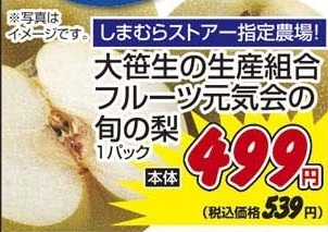 大笹生の生産組合フルーツ元気会 ●旬の梨 1パック