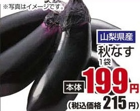 山梨県産 ●秋なす 1袋