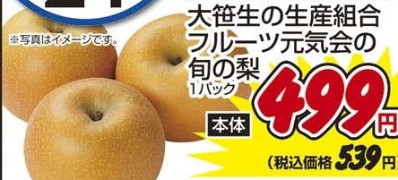 大笹生の生産組合フルーツ元気会 ●旬の梨 １パック