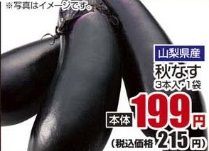 山梨県産 ●秋なす 3本入1袋