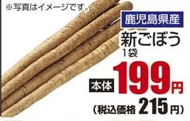 鹿児島県産 ●新ごぼう 1袋
