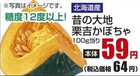 北海道産 ●昔の大地 栗吉かぼちゃ 500g