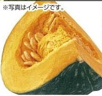 北海道産 ●昔の大地 栗吉かぼちゃ 500g