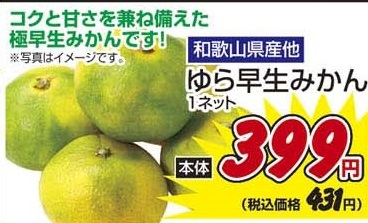 和歌山県産ほか ●ゆら早生みかん １ネット