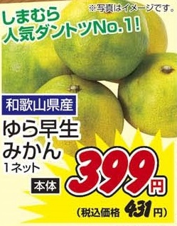 和歌山県産 ●ゆら早生みかん 1ネット
